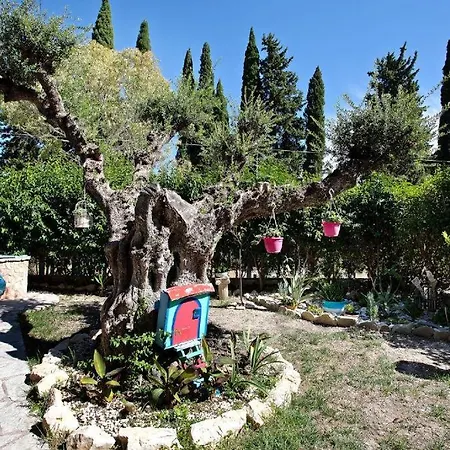 Elizas Country House I * Zakynthos